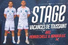 Stage Fenix Toussaint
